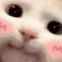catBlush (1)